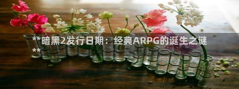 亿万28创造奇迹登录最简单三个步骤：**暗黑2发行日期：经典ARPG的诞生之谜
**